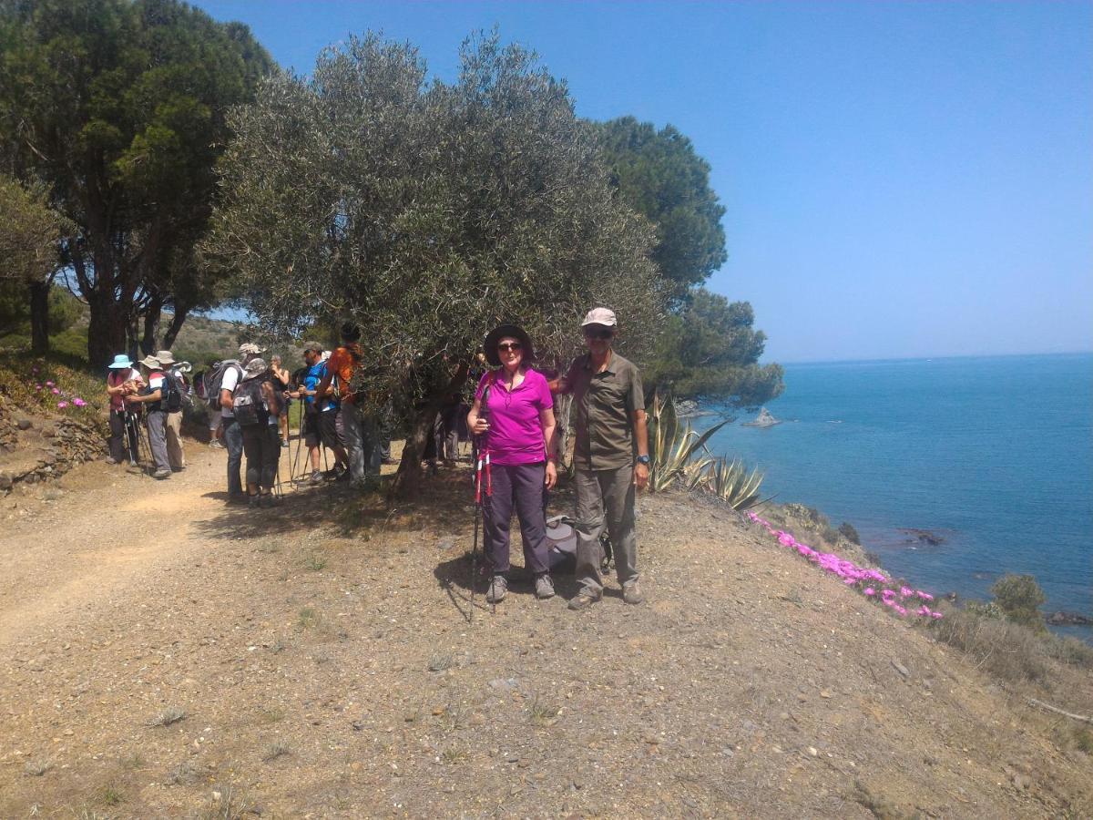 Mas Badie Villelongue-dels-Monts Εξωτερικό φωτογραφία